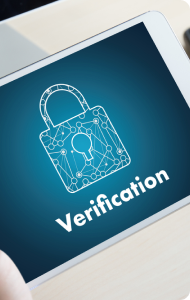 Picture of access verification system
